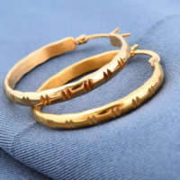 Stainless Steel Hoop Earring, 316L Stainless Steel, gold color plated 