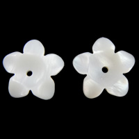 天然白いシェル・ビーズ, 白い貝, 花形 穴:約 1mm, 売り手 パソコン