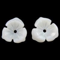 Abalorios de Nácar Blanca Natural, Flor, 10x2mm, agujero:aproximado 1mm, Vendido por UD