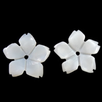 Бусины из натуральных белых ракушек, Белая ракушка, Форма цветка отверстие:Приблизительно 1mm, продается PC