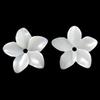 Бусины из натуральных белых ракушек, Белая ракушка, Форма цветка отверстие:Приблизительно 1mm, продается PC