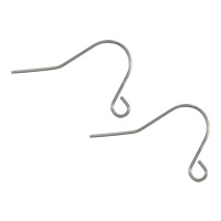 Stainless Steel Hook Earwire, platinum color plated 