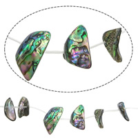Abalone Shell Beads, Nuggets, 5-7.5x15-16mm Approx 1mm Approx 15 Inch, Approx 