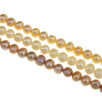 Potato Cultured Freshwater Pearl Beads, natural Grade AA, 5.5-6mm Approx 0.8mm Approx 15 Inch 