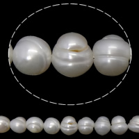 Potato Cultured Freshwater Pearl Beads, natural, white, 7-8mm Approx 0.8mm Inch 