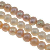 Potato Cultured Freshwater Pearl Beads, natural Grade AA, 10-11mm Approx 2.5mm Approx 15 Inch 