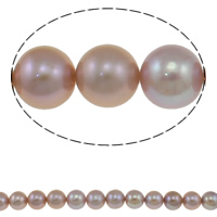 Perlas Redondas Freshwater, Perlas cultivadas de agua dulce, Esférico, natural, Púrpura, grado AAAA, 10-11mm, agujero:aproximado 0.8mm, longitud:aproximado 15 Inch, Vendido por Sarta