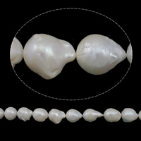 perles nucléées cultivées d'eau douce , perle nucléée de culture d'eau douce, baroque, naturel, blanc, année AAAA, 18-20mm Environ 0.8mm Environ 15.7 pouce, Vendu par brin