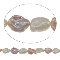 Perles de culture d'eau douce Keishi, perle d'eau douce cultivée, baroque, naturel, couleurs mélangées, grade AAA, 13-15mm Environ 0.8mm Environ 15.7 pouce, Vendu par brin