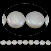 Pièce de culture des perles d'eau douce, perle d'eau douce cultivée, pièce de monnaie, naturel, blanc, grade AAA, 12-13mm Environ 0.8mm Environ 15.3 pouce, Vendu par brin