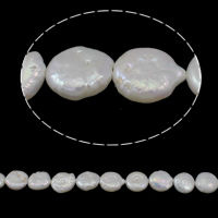 Coin Cultured Freshwater Pearl Beads, natural, white, Grade A, 11-12mm Approx 0.8mm Approx 15.3 Inch 