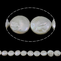 Бусины из искусственного пресноводного жемчуга в форме монеты, Пресноводные жемчуги, Плоская форма, натуральный, белый, Оценка, 13-14mm, отверстие:Приблизительно 0.8mm, длина:Приблизительно 15.3 дюймовый, продается Strand