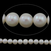 Perle comme Pommes de terre perles d'eau douce, perle d'eau douce cultivée, pomme de terre, naturel, blanc, grade AAA, 9-10mm Environ 0.8mm Environ 15 pouce, Vendu par brin