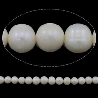 Perle comme Pommes de terre perles d'eau douce, perle d'eau douce cultivée, pomme de terre, naturel, blanc, grade AAA, 8-9mm Environ 0.8mm Environ 15 pouce, Vendu par brin