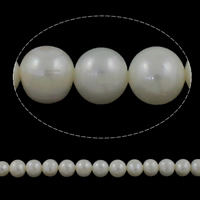 Potato Cultured Freshwater Pearl Beads, natural, white, Grade AA, 7-8mm Approx 0.8mm Approx 15 Inch 