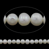 Perle comme Pommes de terre perles d'eau douce, perle d'eau douce cultivée, pomme de terre, naturel, blanc, grade AAA, 6-7mm Environ 0.8mm Environ 15 pouce, Vendu par brin