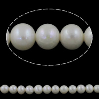 Perlas Patata Freshwater, Perlas cultivadas de agua dulce, natural, Blanco, Grado AAA, 7-8mm, agujero:aproximado 0.8mm, longitud:aproximado 15 Inch, Vendido por Sarta