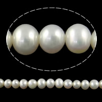 Perlas Patata Freshwater, Perlas cultivadas de agua dulce, natural, Blanco, Grado AA, 5-6mm, agujero:aproximado 0.8mm, longitud:aproximado 15 Inch, Vendido por Sarta