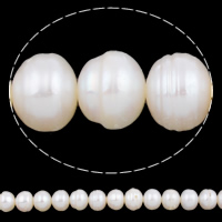 Bouton de culture des perles d'eau douce, perle d'eau douce cultivée, naturel, blanc, 9-10mm Environ 0.8mm Environ 15.3 pouce, Vendu par brin