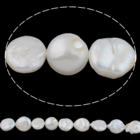 Perlas Moneda Freshwater, Perlas cultivadas de agua dulce, natural, Blanco, 11-12mm, agujero:aproximado 0.8mm, longitud:aproximado 15.7 Inch, Vendido por Sarta