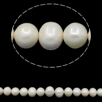 Potato Cultured Freshwater Pearl Beads, natural, white, Grade AA, 13-15mm Approx 0.8mm Approx 15.7 Inch 