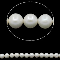 Potato Cultured Freshwater Pearl Beads, natural, white, Grade A, 10-11mm Approx 0.8mm Approx 15.7 Inch 
