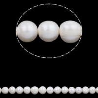 Potato Cultured Freshwater Pearl Beads, natural, white, Grade AAA, 12-15mm Approx 0.8mm Approx 15.7 Inch 