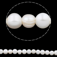 Potato Cultured Freshwater Pearl Beads, natural, white, 11-12mm Approx 2.5mm Approx 15 Inch 