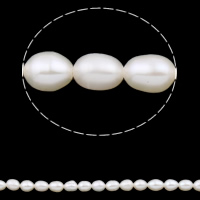Perles d'eau douce de culture de riz, perle d'eau douce cultivée, naturel, blanc, 4-5mm Environ 0.8mm Environ 15.3 pouce, Vendu par brin