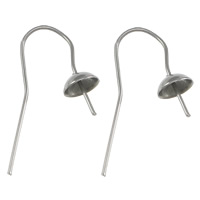 Stainless Steel Hook Earwire, 316 Stainless Steel, plated 1mm 