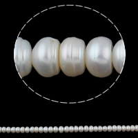 Perlas Botón Freshwater , Perlas cultivadas de agua dulce, natural, Blanco, 9-10mm, agujero:aproximado 0.8mm, longitud:aproximado 15.7 Inch, Vendido por Sarta