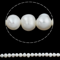 Potato Cultured Freshwater Pearl Beads, natural, white, 5-6mm Approx 0.8mm Approx 14.2 Inch 