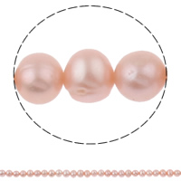 Perle comme Pommes de terre perles d'eau douce, perle d'eau douce cultivée, pomme de terre, naturel, rose, Niveau AA, 6-7mm Environ 0.8mm .5 pouce, Vendu par brin