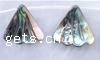 Natural Abalone Shell Pendants, Triangle, 17-25mm Sold Per 16 Inch Strand
