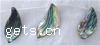 Natural Abalone Shell Pendants, Leaf, 24-30mm, 15PCs/Strand, Sold Per 16 Inch Strand