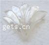 White Shell Pendant Leaf 48x36x6mm