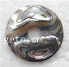 Abalone Shell Pendant Donut 25x25x4mm