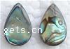Abalone Shell Pendant Drop 12x19x4mm