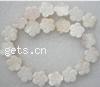 Natural Freshwater Shell Beads, Flower Grade A Approx 15 Inch, Approx 