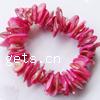 Dyed Shell Bracelet Approx 7 Inch 