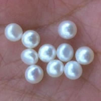No Hole Cultured Freshwater Pearl Beads, Button, natural, flat back, white, 4mm 