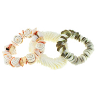 Shell Bracelet, mixed, 15-25mm Approx 7 Inch 