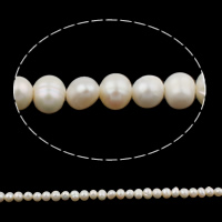 Perle comme Pommes de terre perles d'eau douce, perle d'eau douce cultivée, pomme de terre, naturel, blanc, grade A, 5-6mm Environ 0.8mm pouce, Vendu par brin