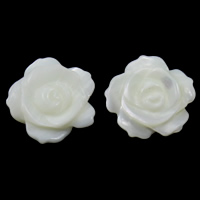 Halbgebohrte Muschel Perlen, Weiße Muschel, Blume, 13x13x3mm, Bohrung:ca. 1mm, verkauft von PC