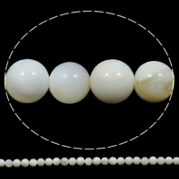 天然白いシェル・ビーズ, 白い貝, ラウンド形, 8mm, 穴:約 1mm, 長さ:約 15.7 インチ, 約 58パソコン/ストランド, 売り手 ストランド