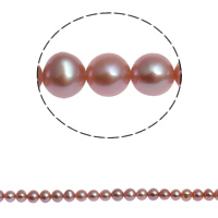 Potato Cultured Freshwater Pearl Beads, natural 5-6mm Approx 0.8mm Approx 15.3 Inch 