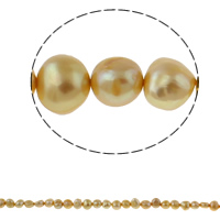 Perla Barroca Freshwater, Perlas cultivadas de agua dulce, Barroco, dorado, 8-9mm, agujero:aproximado 0.8mm, longitud:aproximado 14.5 Inch, Vendido por Sarta