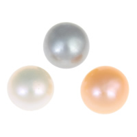 Perles nacres de culture d'eau douce demi percées , perle d'eau douce cultivée, dôme, semi-foré, plus de couleurs à choisir, Niveau AA, 9.5-10mm Environ 0.8mm Vendu par sac