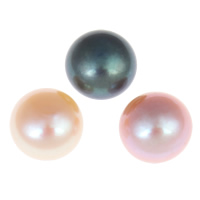 Half Drilled Cultured Freshwater Pearl Beads, Dome, half-drilled Grade AA, 10-10.5mm Approx 0.8mm 