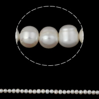 Perlas Patata Freshwater, Perlas cultivadas de agua dulce, natural, Blanco, 7-8mm, agujero:aproximado 0.8mm, longitud:aproximado 15.7 Inch, Vendido por Sarta